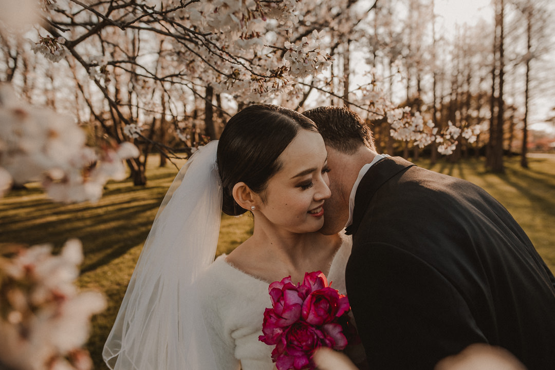 Cherry tree flowers around the couple in love