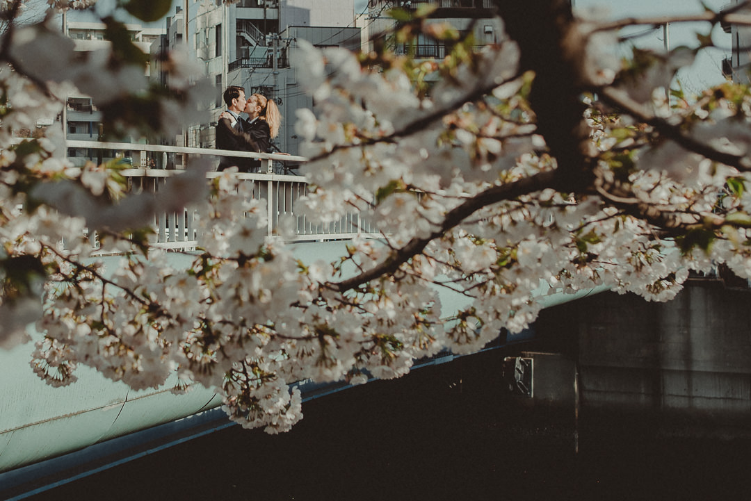 Couple kissing on the bridge through cherry tree flowers
