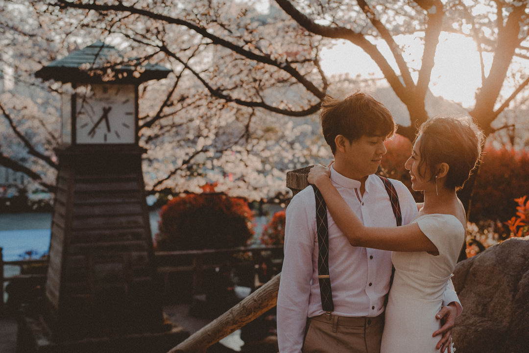 Japan cherry blossom and the old wooden clock behind the couple kissing in the sunset.
