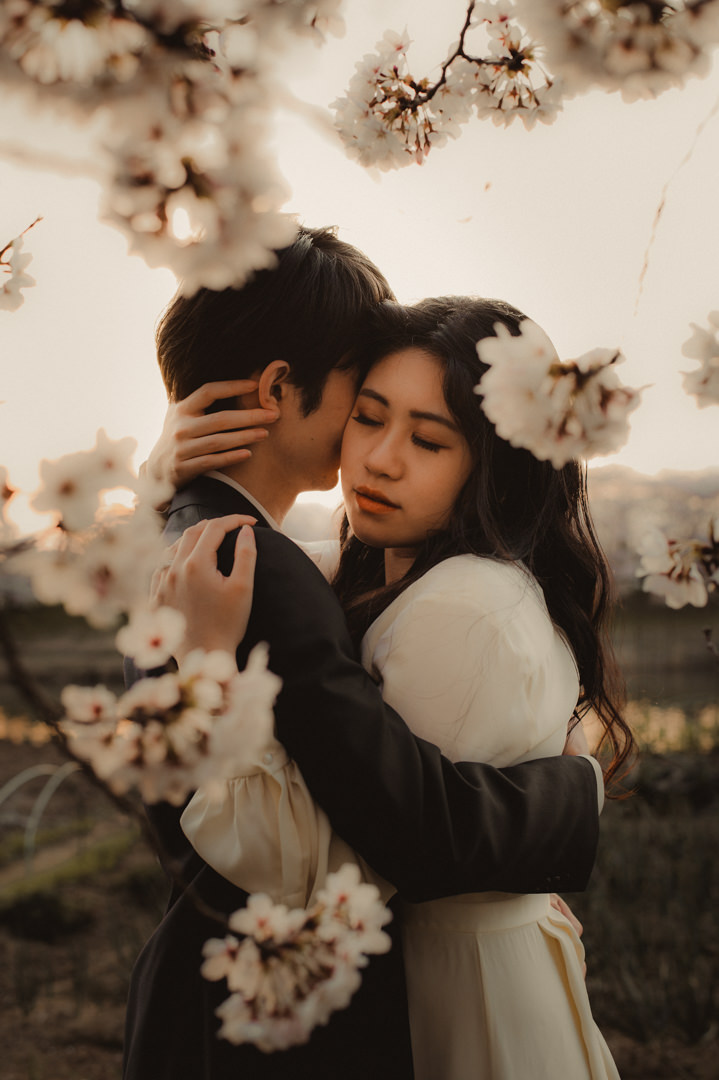 Lovers portrait through Japan cherry tree flowers
