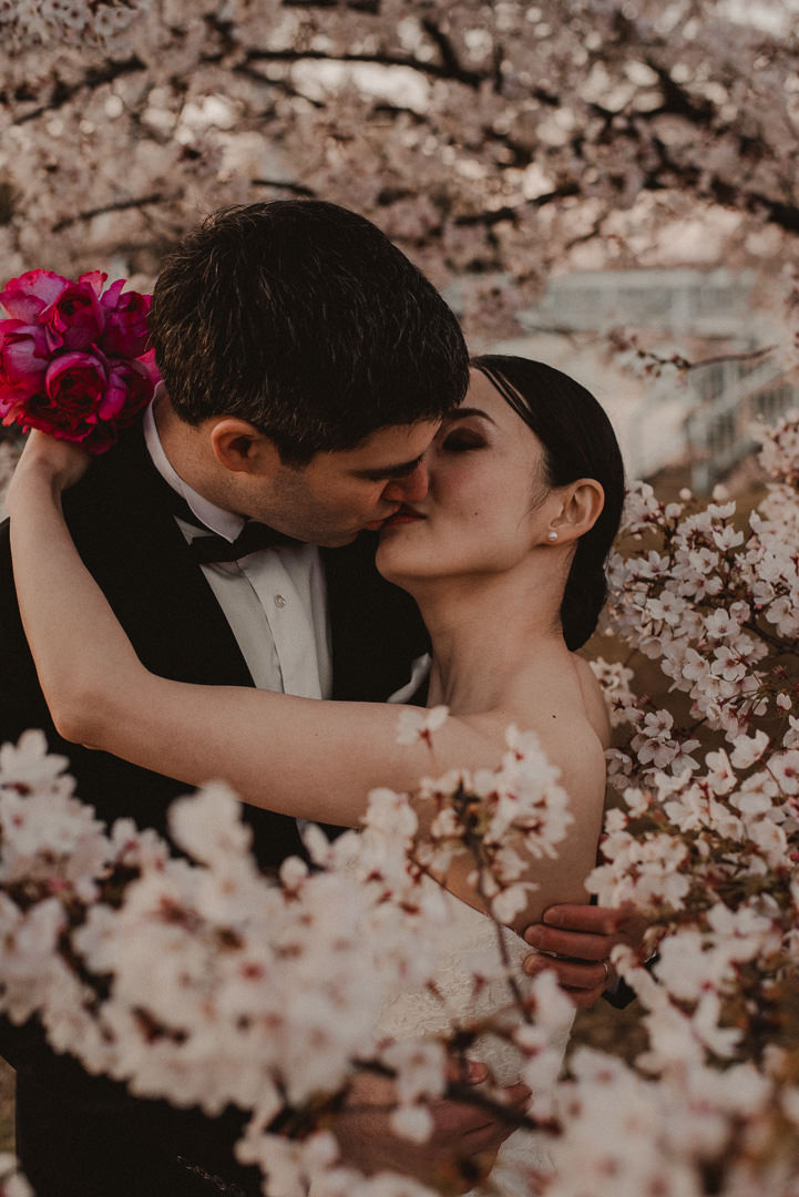 Cherry tree branches reaching all the way to the ground will let you bathe in the blooming tree, an unforgettable experience.

