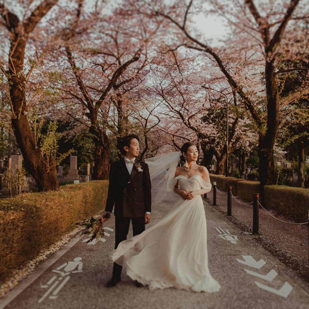Couple standing in the park with cherry blossoms.
