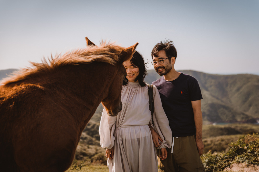 Hanging out with welcoming horses