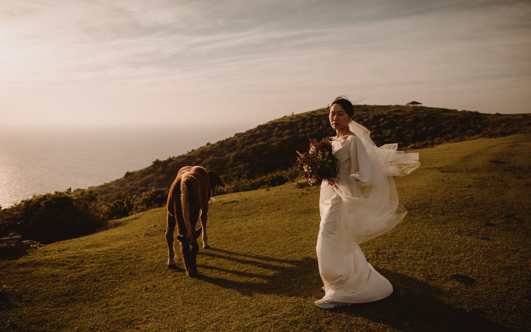 Horses see the wedding dress for the first time, don't seem to be impressed.