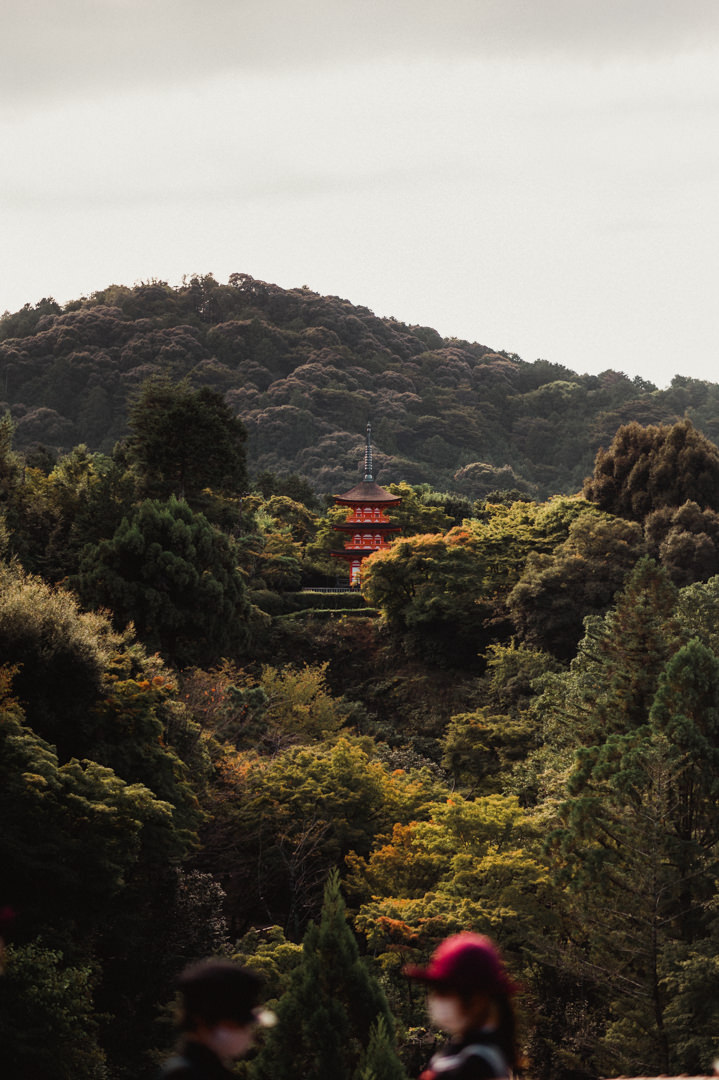 Elope in Kyoto - Old temple in the forest