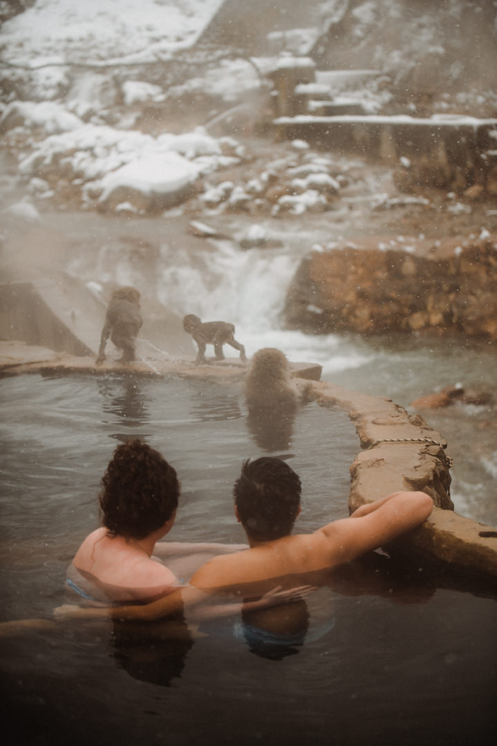 Nagano Ryokan Elopement - Monkeys 
