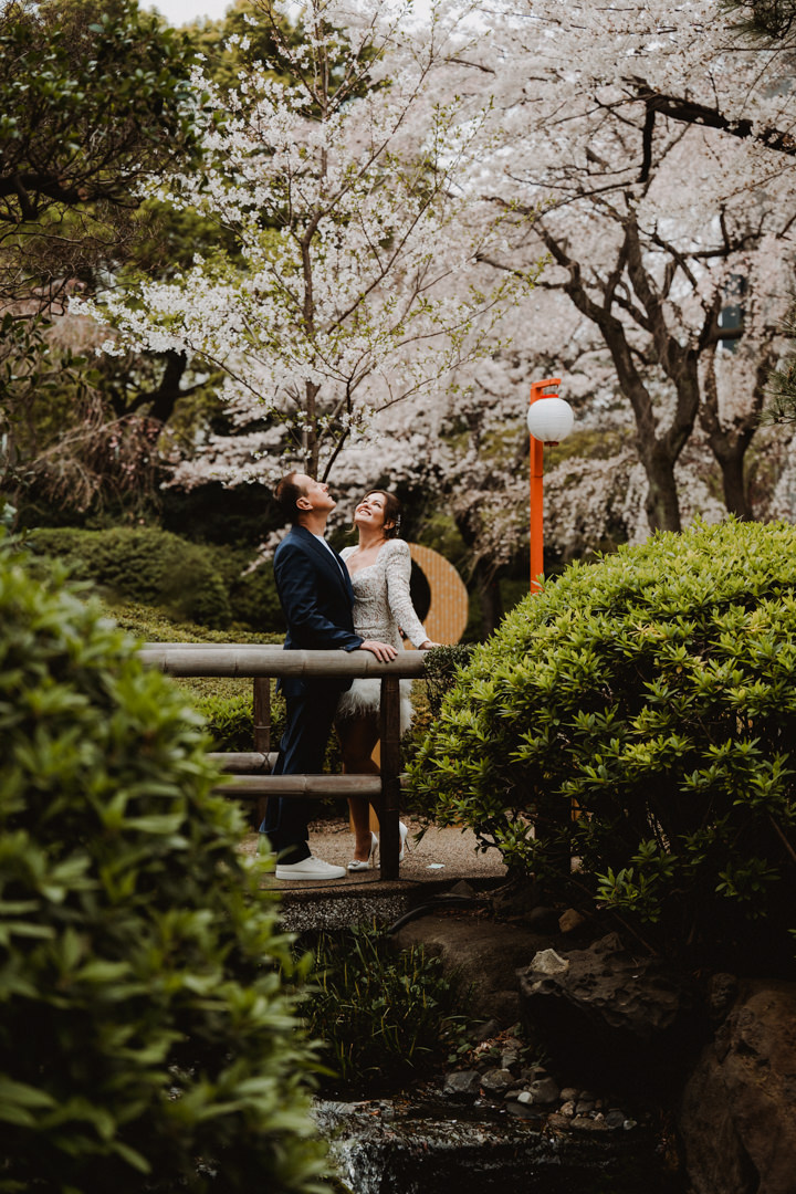 Cherry blossom in Tokyo 