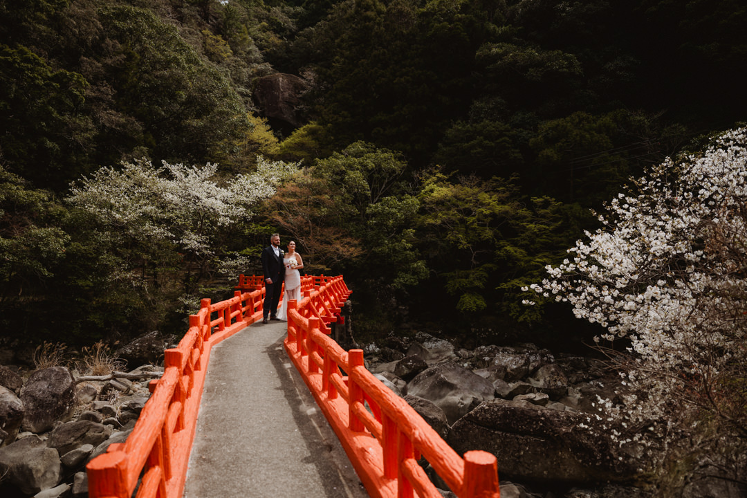 The couple takes a photo on the red bridge.
Cherry blossom Elopement in Wakayama.